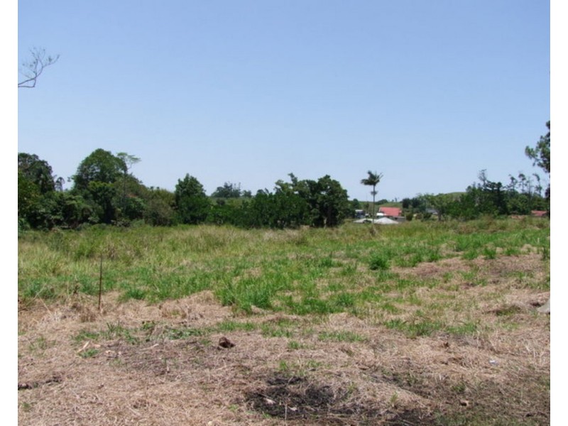 Millaa Millaa QLD 4886