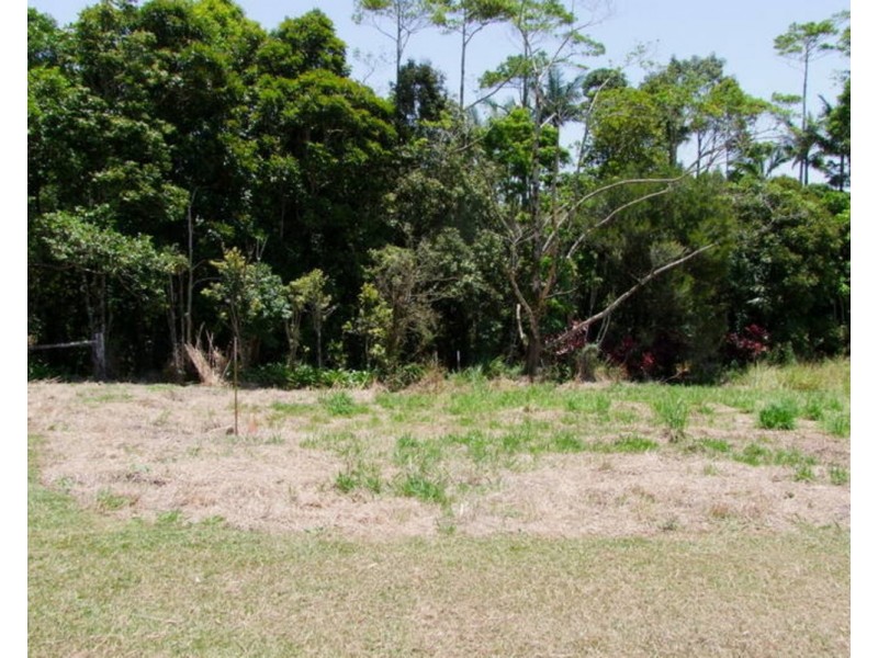 Millaa Millaa QLD 4886