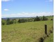 Millaa Millaa QLD 4886