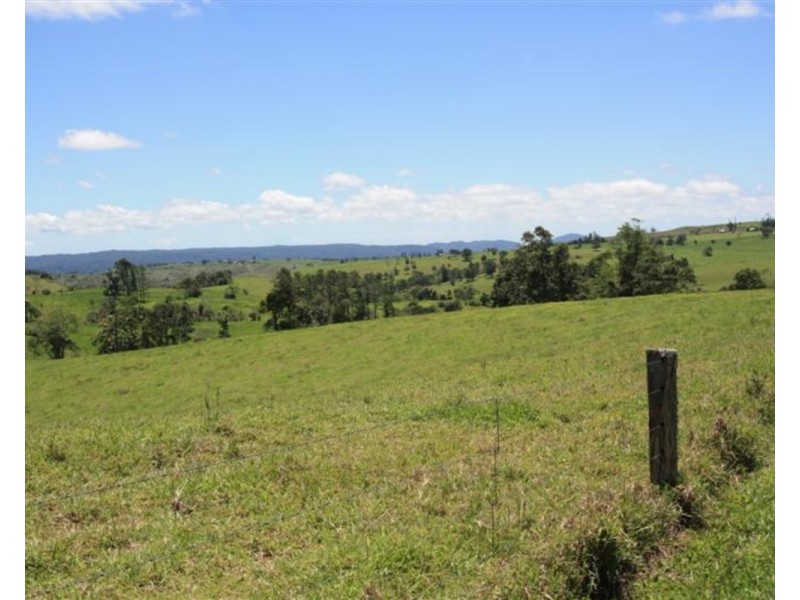 Millaa Millaa QLD 4886