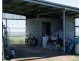 Millaa Millaa QLD 4886