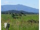 Millaa Millaa QLD 4886