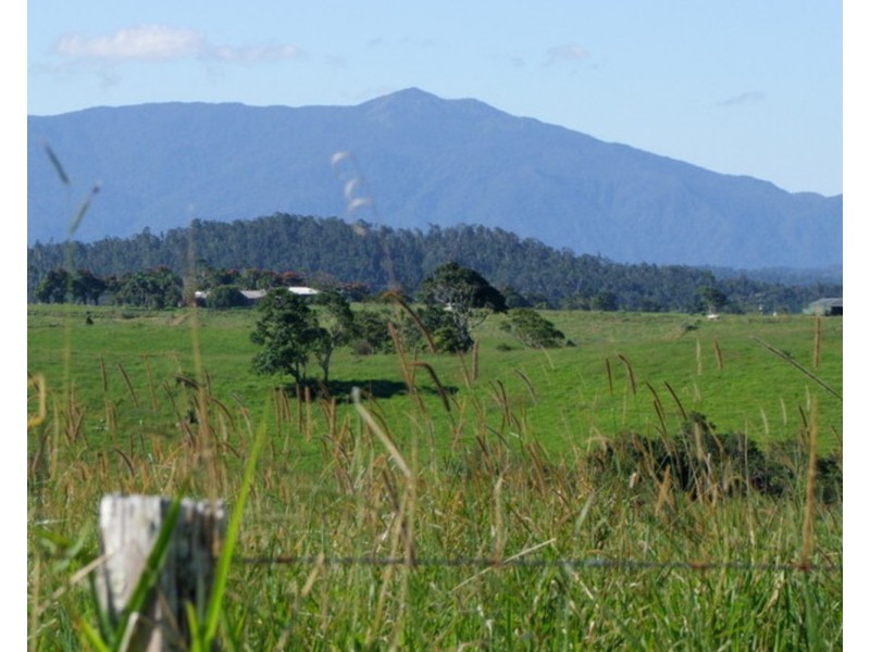 Millaa Millaa QLD 4886