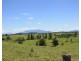Millaa Millaa QLD 4886