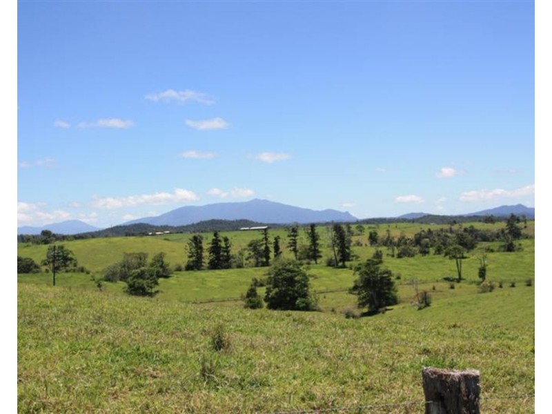 Millaa Millaa QLD 4886