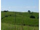 Millaa Millaa QLD 4886