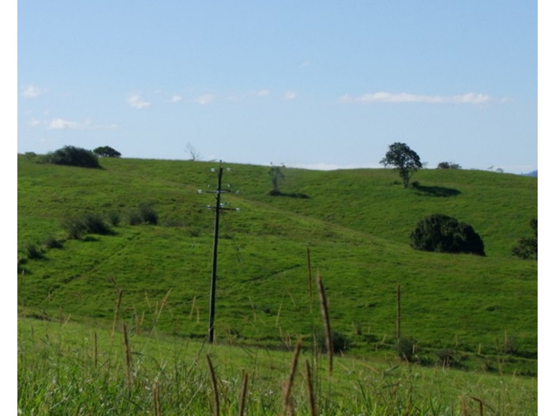 Millaa Millaa QLD 4886