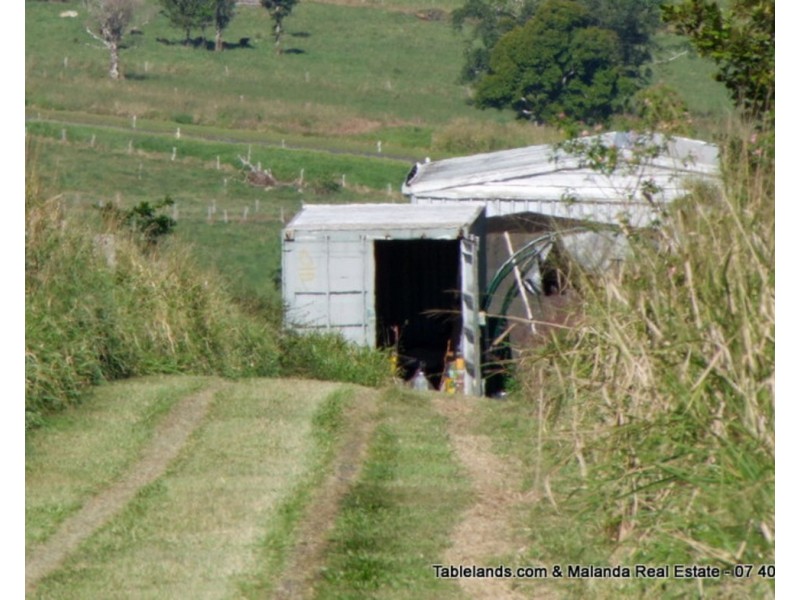 Millaa Millaa QLD 4886