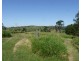 Millaa Millaa QLD 4886