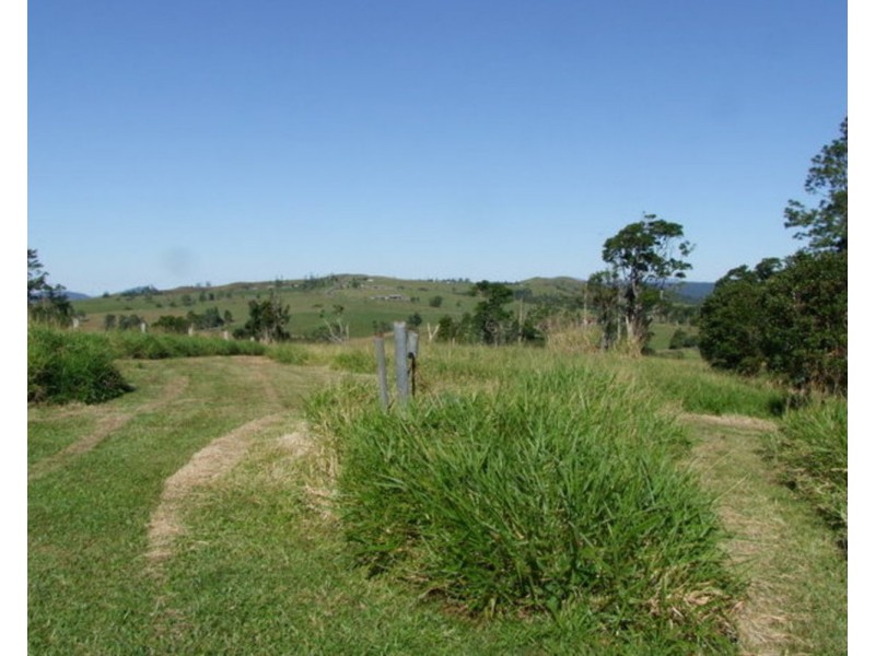 Millaa Millaa QLD 4886