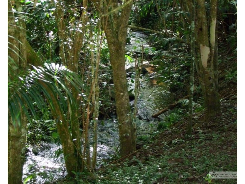 Millaa Millaa QLD 4886