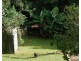 Millaa Millaa QLD 4886