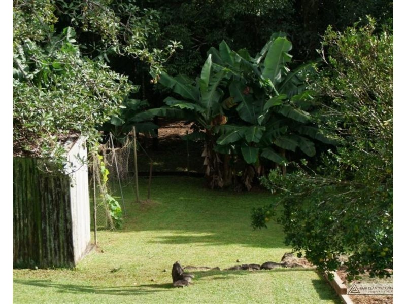 Millaa Millaa QLD 4886