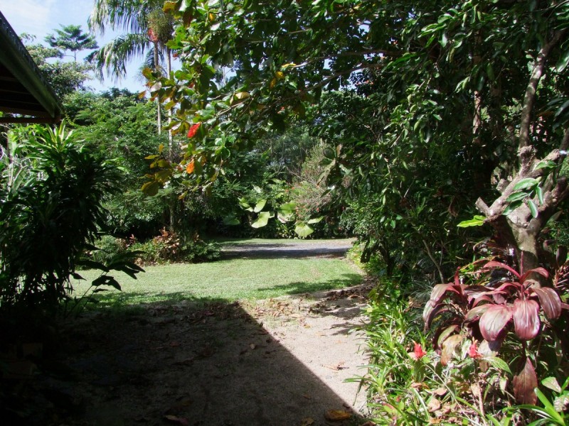 Bellenden Ker QLD 4871