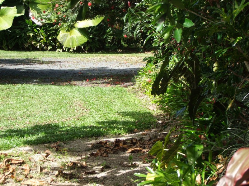 Bellenden Ker QLD 4871