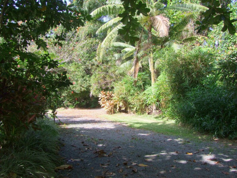 Bellenden Ker QLD 4871