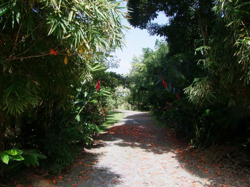 Bellenden Ker QLD 4871
