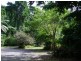 Bellenden Ker QLD 4871