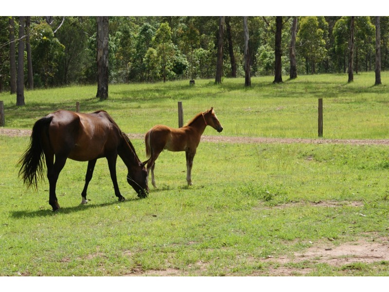 Millstream QLD 4888
