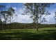Millstream QLD 4888