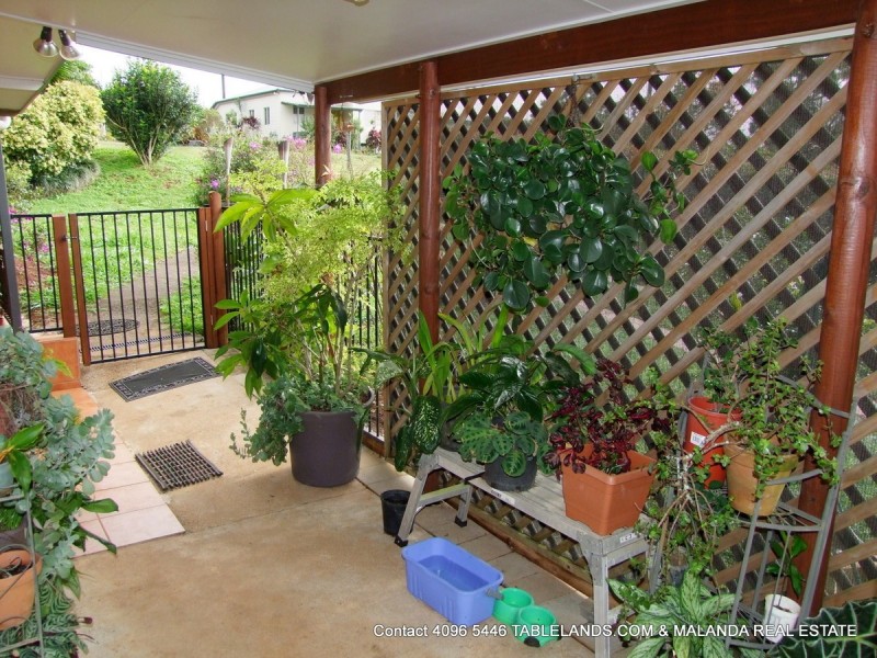 Millaa Millaa QLD 4886