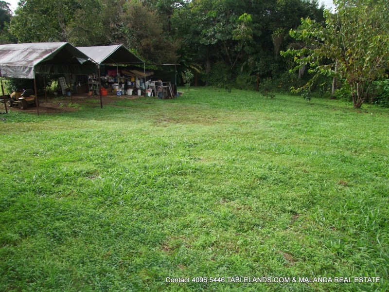 Millaa Millaa QLD 4886