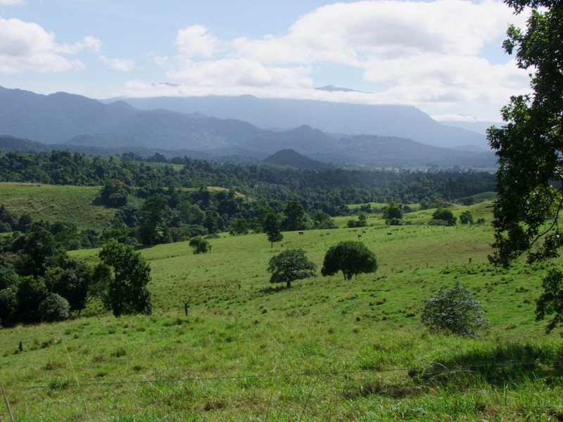 East Palmerston QLD 4860