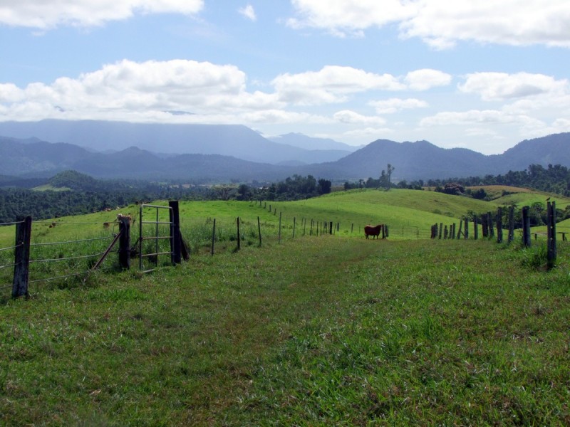 East Palmerston QLD 4860