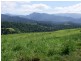 East Palmerston QLD 4860