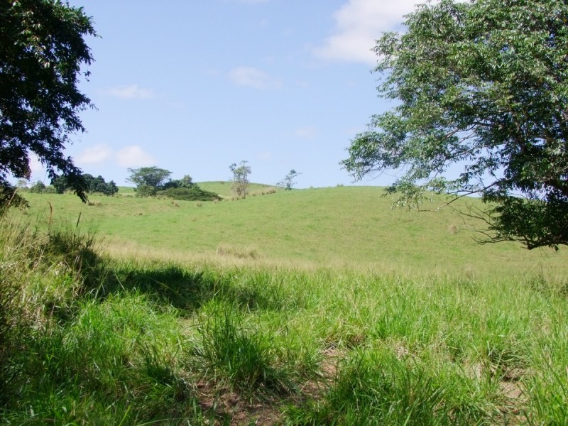 East Palmerston QLD 4860