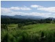 East Palmerston QLD 4860