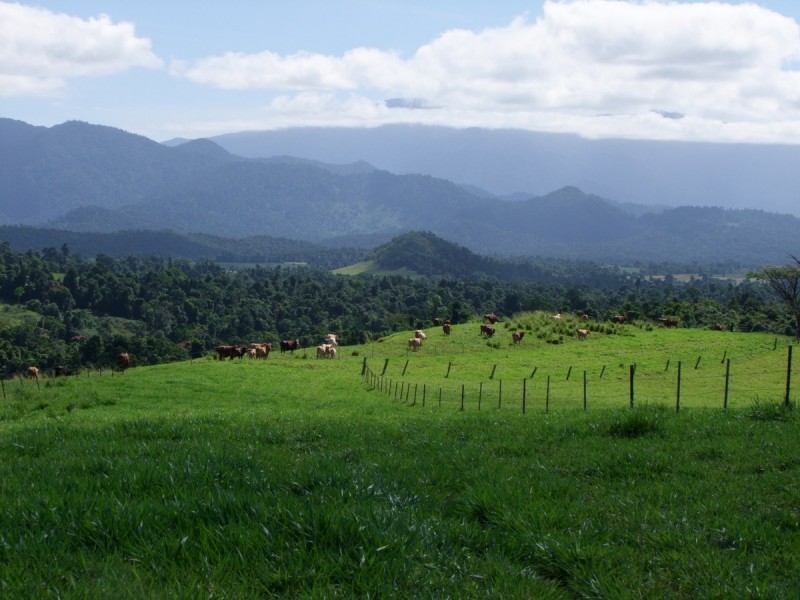 East Palmerston QLD 4860