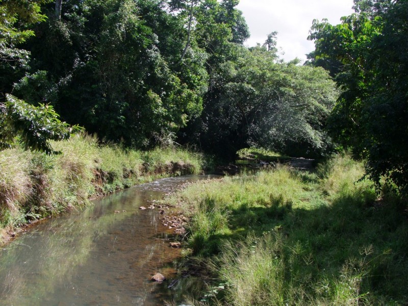 East Palmerston QLD 4860