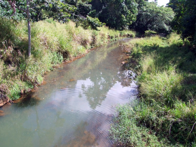 East Palmerston QLD 4860