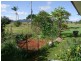 East Palmerston QLD 4860