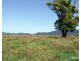 Millaa Millaa QLD 4886