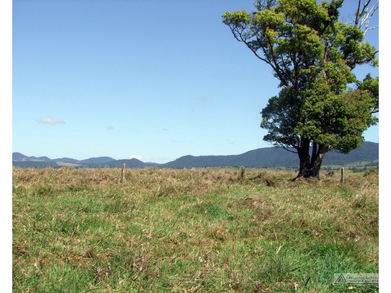 Millaa Millaa QLD 4886