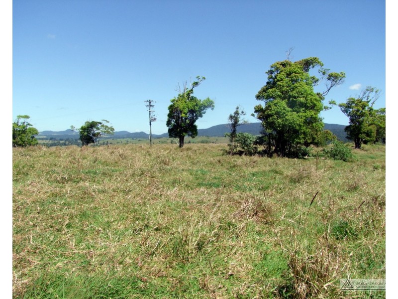 Millaa Millaa QLD 4886