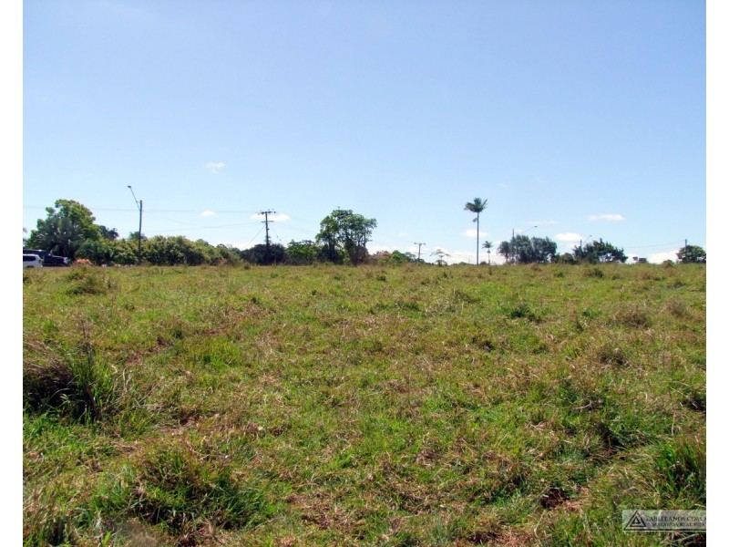 Millaa Millaa QLD 4886