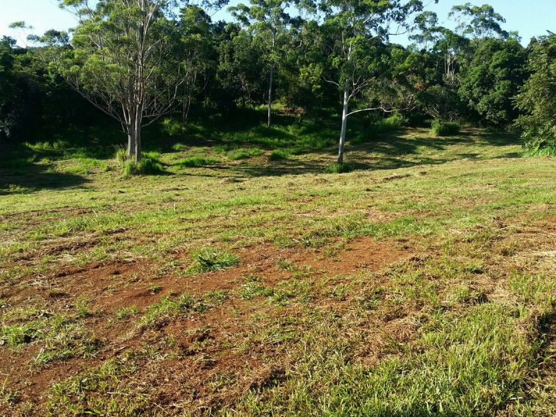 Topaz QLD 4885