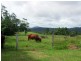 Mungalli QLD 4886