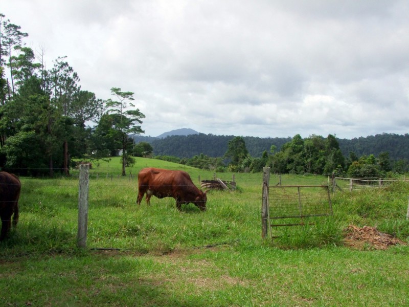 Mungalli QLD 4886
