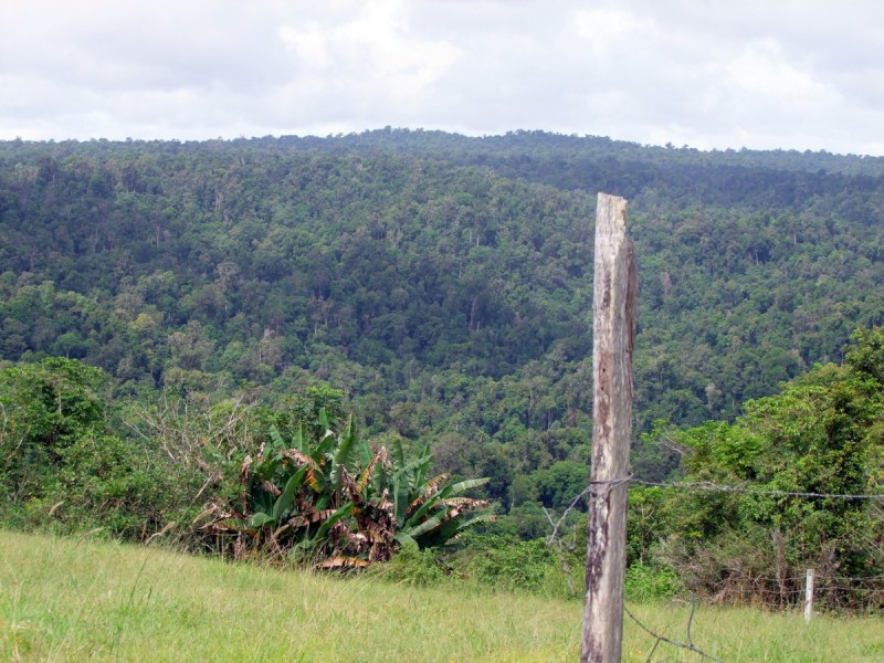 Mungalli QLD 4886