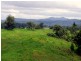 Mungalli QLD 4886