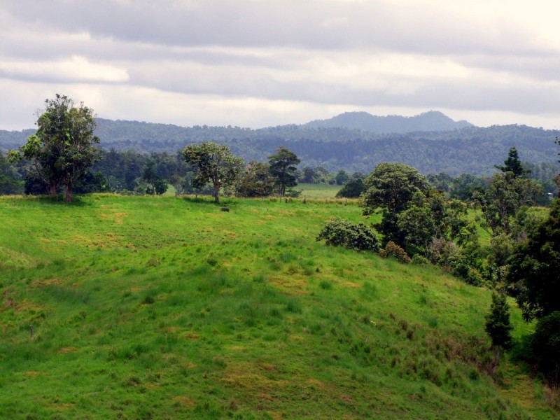Mungalli QLD 4886