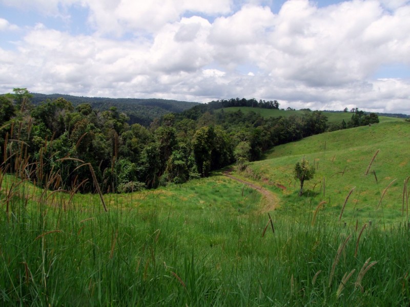 Mungalli QLD 4886