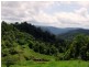 Mungalli QLD 4886