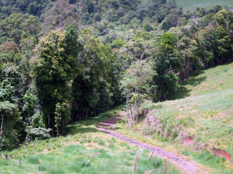 Mungalli QLD 4886
