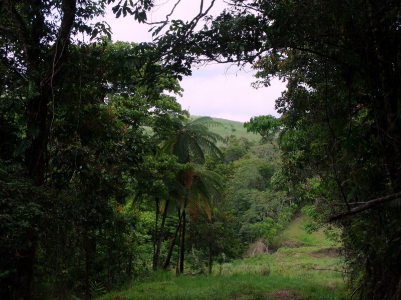 Mungalli QLD 4886
