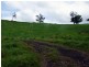 Mungalli QLD 4886